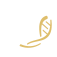 DNA Communication
